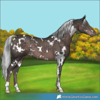 Horse Color:Platinum White Spotted Liver Chestnut 