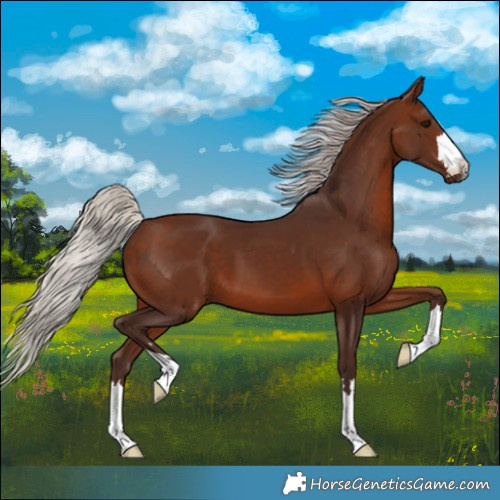 Horse Color:Silver Brown