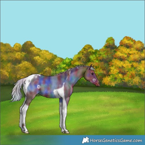 Horse Color:Nacre Silver Brown Tobiano Rabicano 