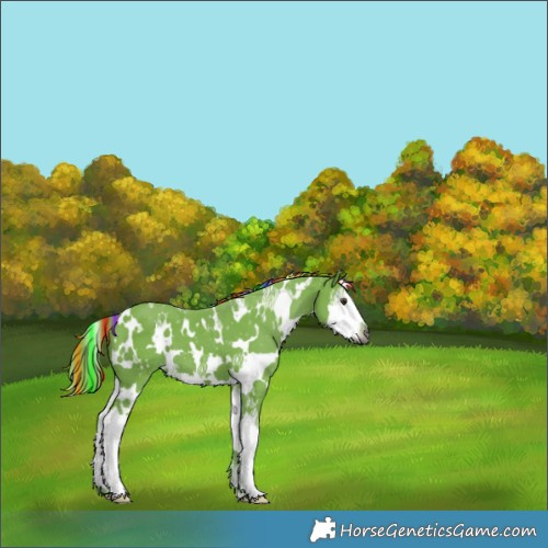 Horse Color:Gray Painted Watercolor White Spotted Chestnut Splash 