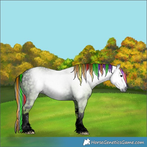 Horse Color:ERROR: UNKNOWN ANOMALY