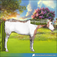 Horse Color:Painted Brown Ice Frame Rabicano 