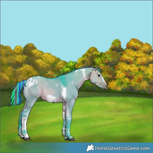 Horse Color:Painted Watercolor Bay Dun Tobiano Frame Rabicano 