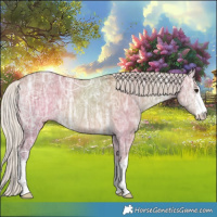 Horse Color:White Spotted Silver Bay Ice Dun Rabicano 