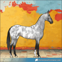 Horse Color:Gray Brown Roan Near Leopard 