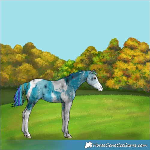 Horse Color:ERROR: UNKNOWN ANOMALY