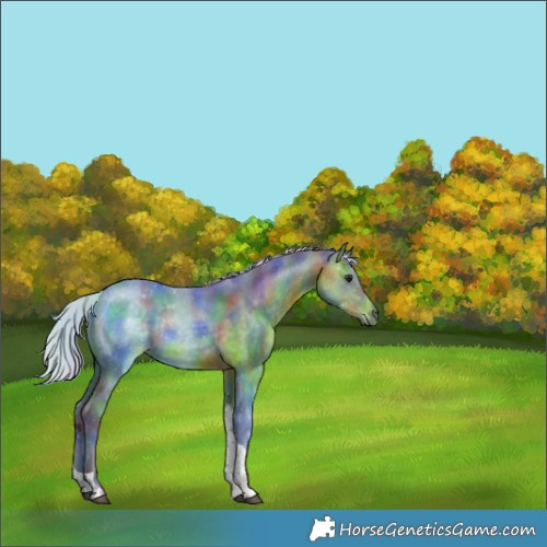 Horse Color:Nacre Watercolor Silver Brown Tobiano Rabicano 