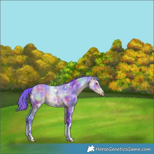 Horse Color:Nacre Watercolor White Spotted Buckskin Chinchilla 