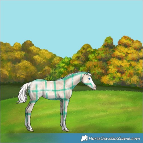 Horse Color:Plaid  White Spotted Silver Perlino Dun Splash 