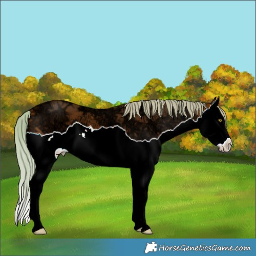 Horse Color:Silver Bay Ice Splash 