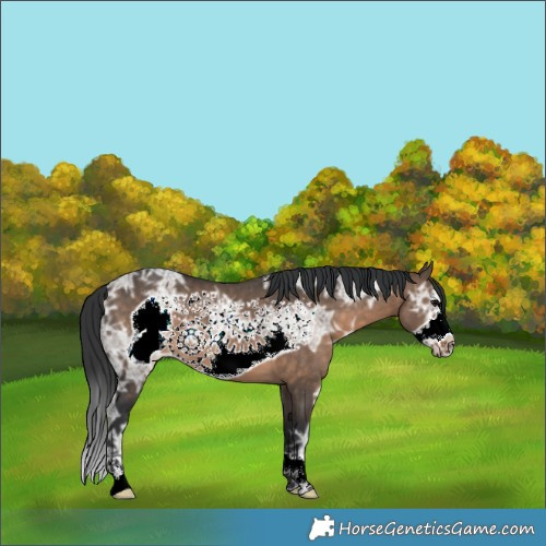 Horse Color:Brown Ice Dun Frame 