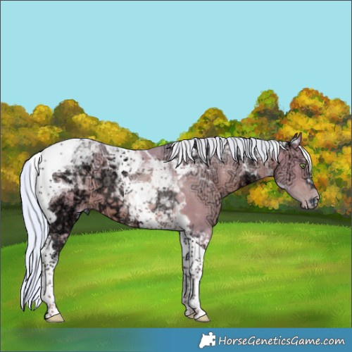 Horse Color:Watercolor Silver Sable Champagne Ice Tobiano Rabicano 
