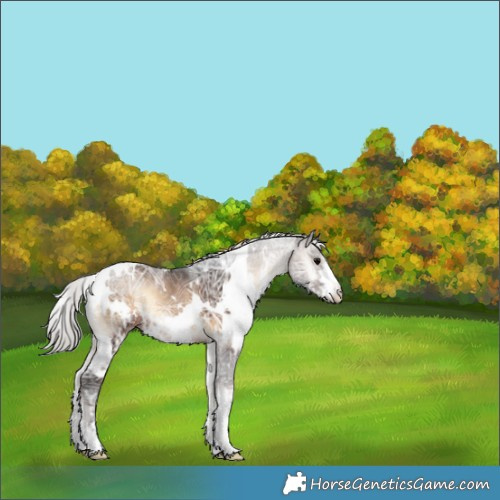 Horse Color:White Spotted Silver Brown Ice Onyx 