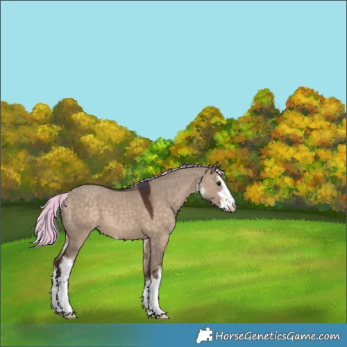 Horse Color:Painted White Spotted Silver Brown Dun Varnish 
