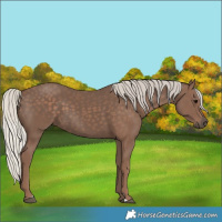 Horse Color:Silver Black 