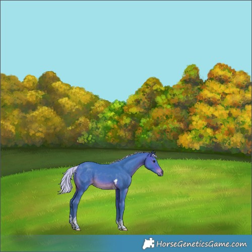 Horse Color:Watercolor White Spotted Silver Brown Tobiano 