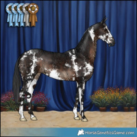 Horse Color:Brown Ice Sabino 
