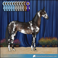 Horse Color:Brown Ice Sabino 