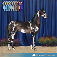 Horse Color:Brown Ice Sabino 