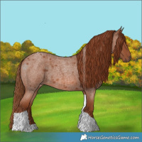 Horse Color:Red Roan Tobiano 