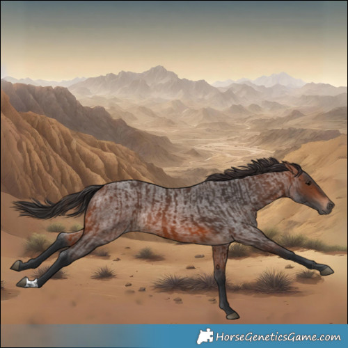 Horse Color:Brown Rabicano  and Brown Roan Rabicano 
