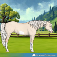 Horse Color:Silver Classic Champagne Dun Splash Frame 