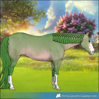 Horse Color:Watercolor Brown Dun 