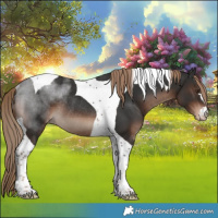 Horse Color:Liver Chestnut Tobiano Varnish Rabicano 