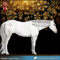 Horse Color:Liver Red Dun Mushroom Tobiano Appaloosa Rabicano 