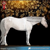Horse Color:Liver Red Dun Mushroom Tobiano Appaloosa Rabicano 
