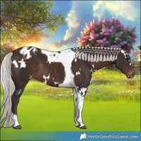 Horse Color:White Spotted Silver Brown Mushroom Tobiano Varnish Rabicano 