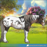 Horse Color:Liver Chestnut Mushroom Tobiano Blanket Rabicano 