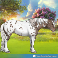 Horse Color:White Spotted Silver Brown Dun Mushroom Tobiano Appaloosa Rabicano 