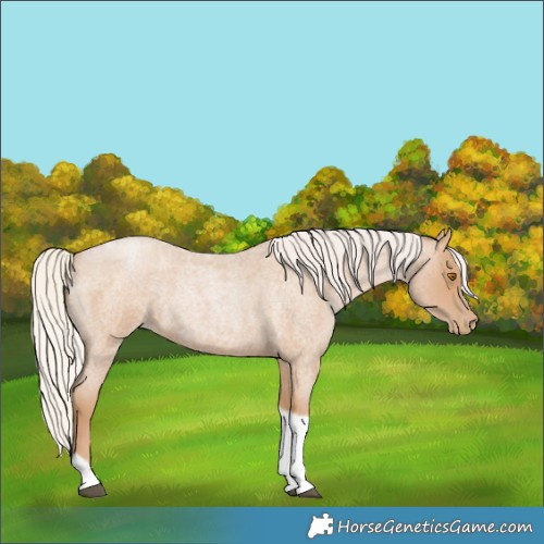 Horse Color:Silver Blue Roan Pearl Tobiano Frame