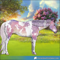 Horse Color:Watercolor White Spotted Silver Brown Ice Dun Tobiano 