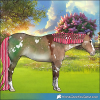 Horse Color:Painted White Spotted Silver Brown Dun Splash 