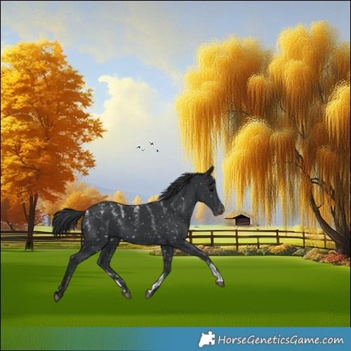 Horse Color:Powder White Black Snowflake Varnish 
