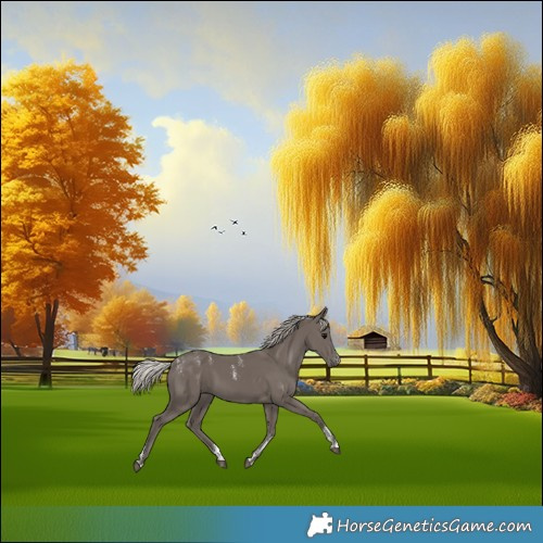Horse Color:Powder White Silver Black 