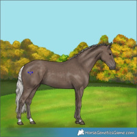 Horse Color:Silver Black 