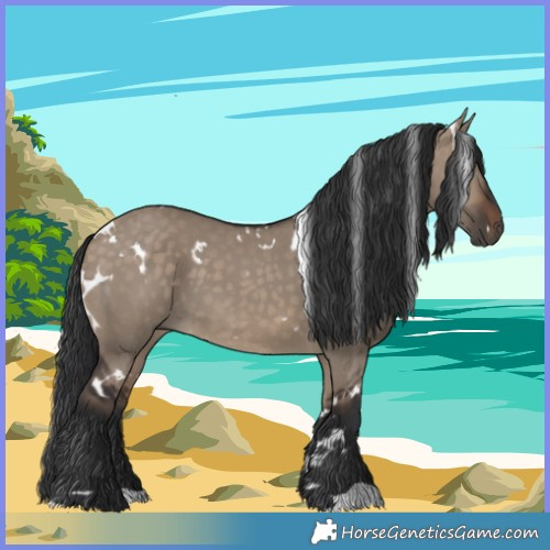 Horse Color:White Spotted Brown Dun 