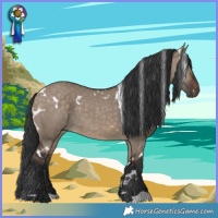 Horse Color:White Spotted Brown Dun 