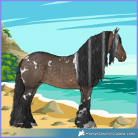Horse Color:White Spotted Brown Dun 
