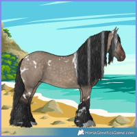 Horse Color:White Spotted Brown Dun 