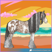 Horse Color:Liver Red Dun Sabino Snowflake Varnish 