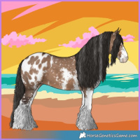 Horse Color:Liver Red Dun Sabino Appaloosa 