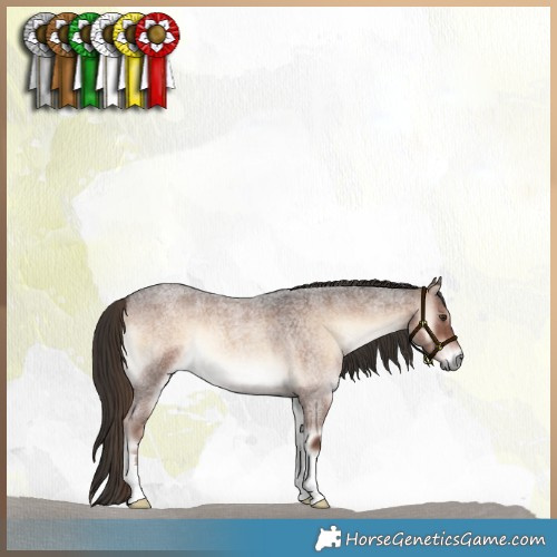Horse Color:Liver Red Onyx Roan 