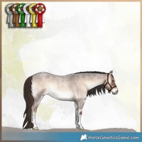Horse Color:Liver Red Onyx Roan