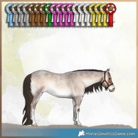 Horse Color:Liver Red Onyx Roan