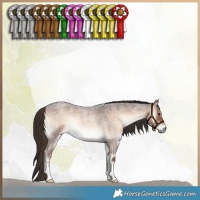Horse Color:Liver Red Onyx Roan