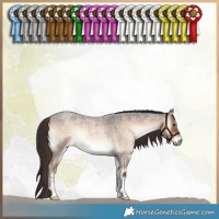 Horse Color:Liver Red Onyx Roan 